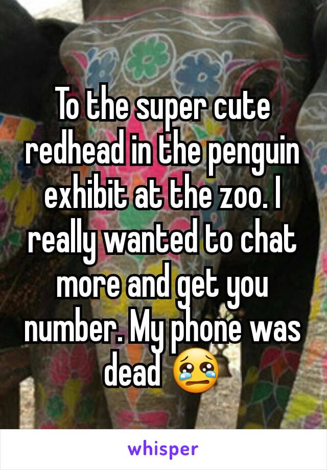 To the super cute redhead in the penguin exhibit at the zoo. I really wanted to chat more and get you number. My phone was dead 😢