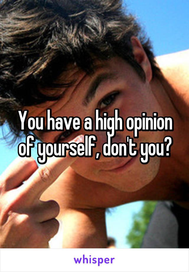 You have a high opinion of yourself, don't you?