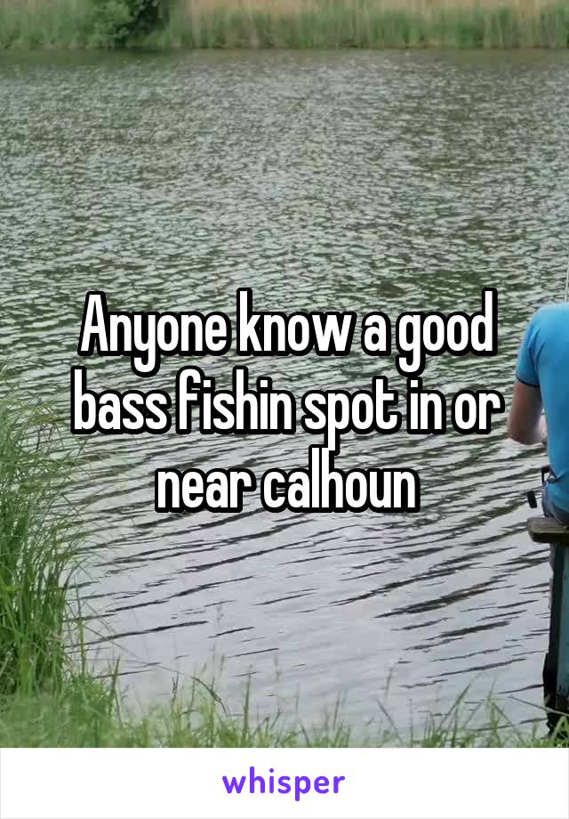 Anyone know a good bass fishin spot in or near calhoun