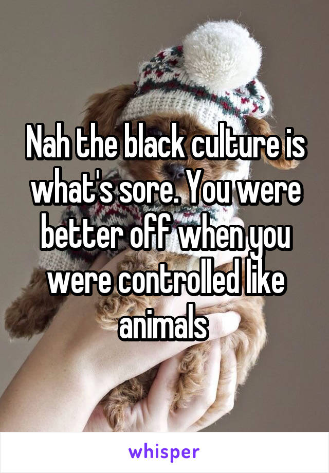 Nah the black culture is what's sore. You were better off when you were controlled like animals 