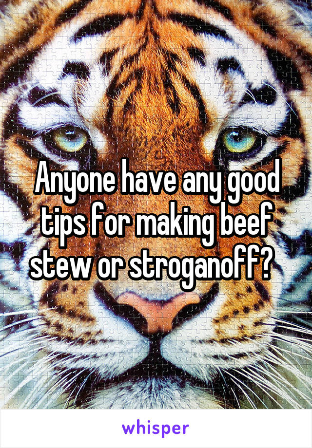 Anyone have any good tips for making beef stew or stroganoff?  