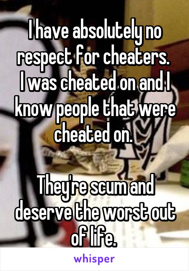 I have absolutely no respect for cheaters. 
I was cheated on and I know people that were cheated on. 

They're scum and deserve the worst out of life. 