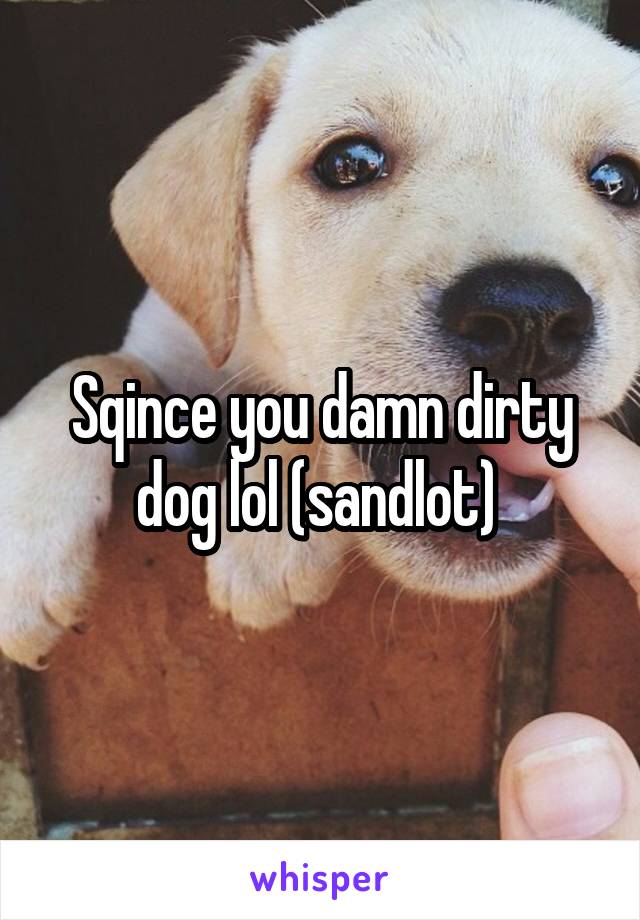 Sqince you damn dirty dog lol (sandlot) 
