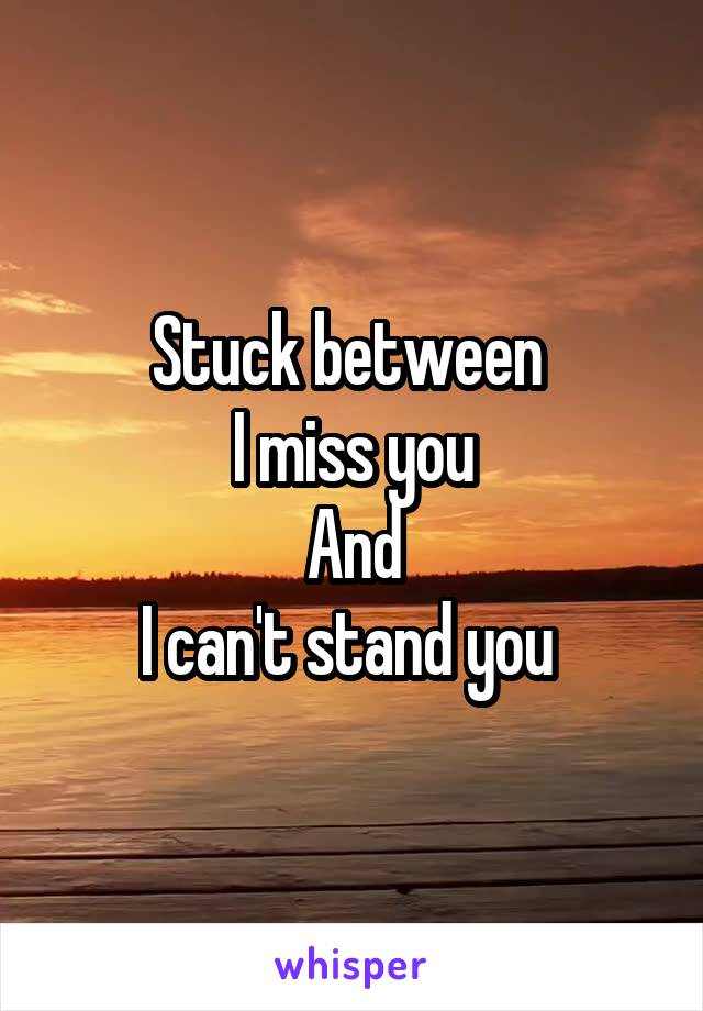 Stuck between 
I miss you
And
I can't stand you 
