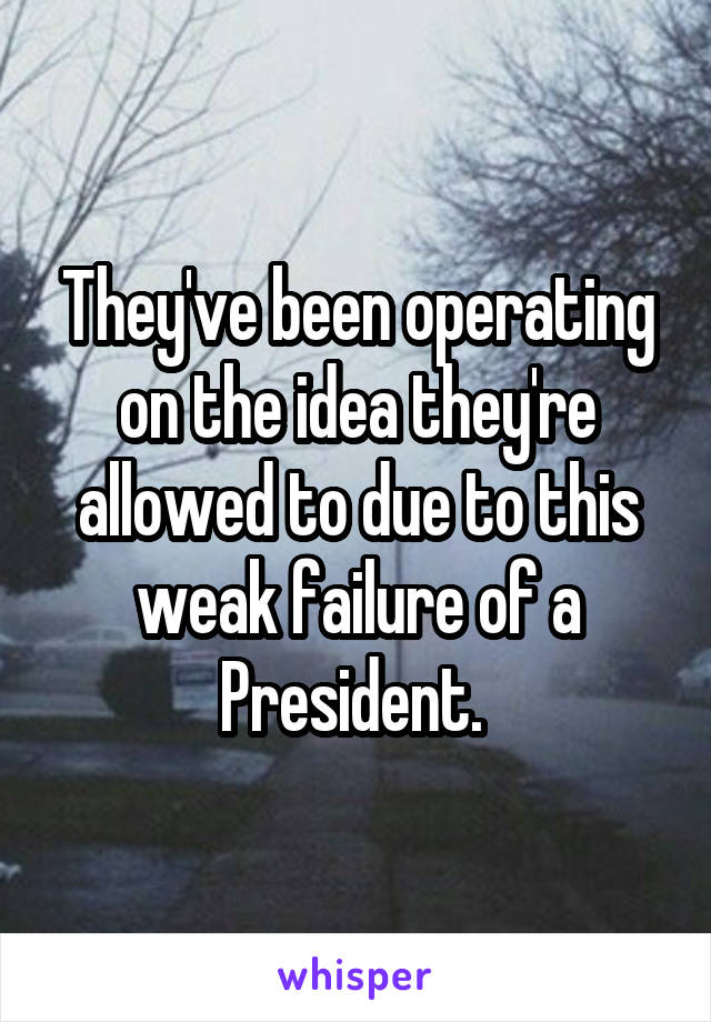 They've been operating on the idea they're allowed to due to this weak failure of a President. 