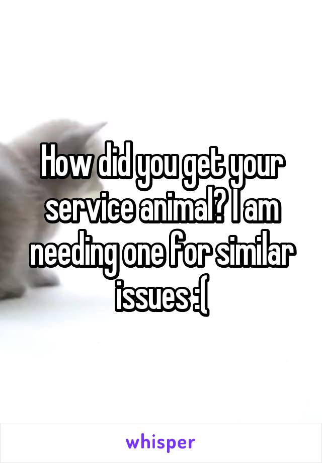 How did you get your service animal? I am needing one for similar issues :(