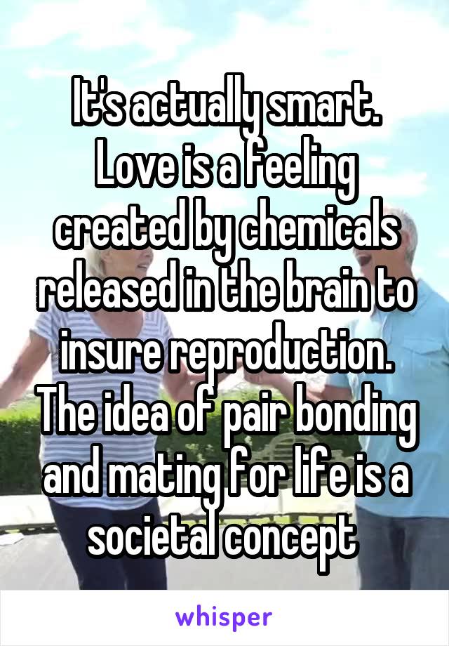 It's actually smart. Love is a feeling created by chemicals released in the brain to insure reproduction. The idea of pair bonding and mating for life is a societal concept 
