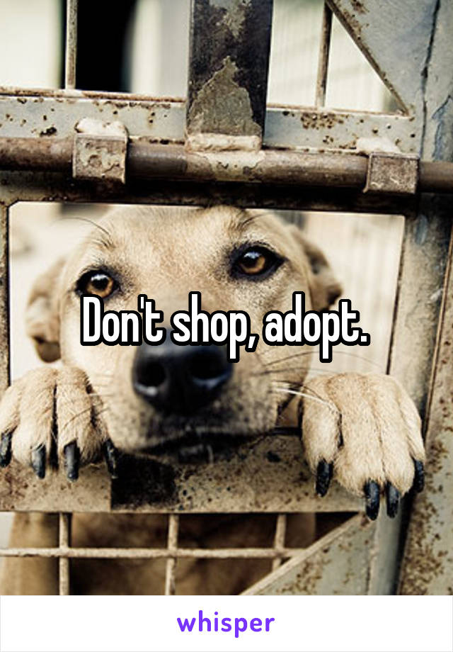 Don't shop, adopt. 