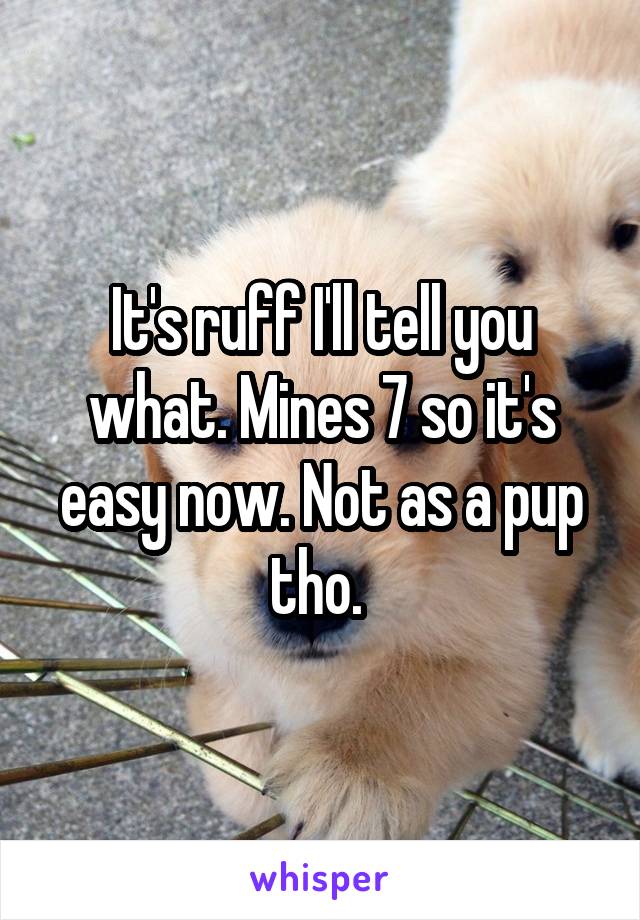 It's ruff I'll tell you what. Mines 7 so it's easy now. Not as a pup tho. 