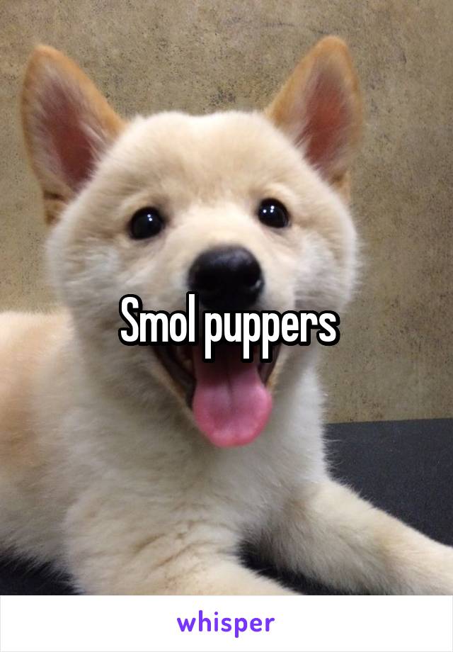 Smol puppers