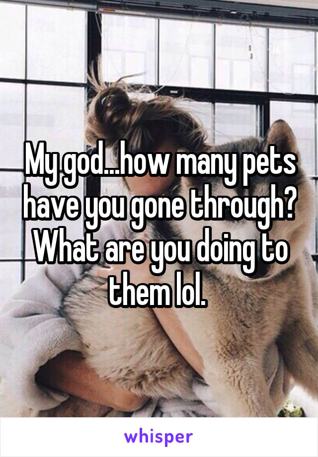 My god...how many pets have you gone through? What are you doing to them lol. 