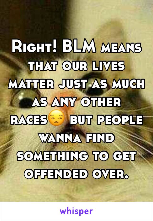 Right! BLM means that our lives matter just as much as any other races😒 but people wanna find something to get offended over. 