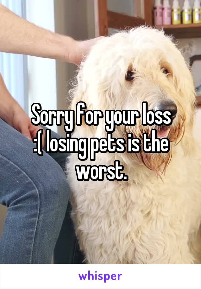 Sorry for your loss
:( losing pets is the worst.