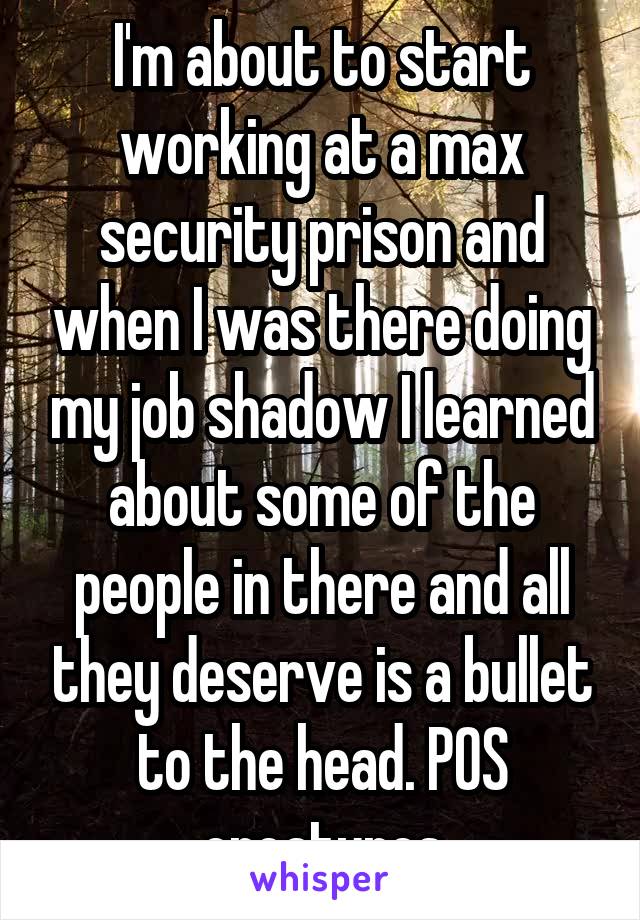 I'm about to start working at a max security prison and when I was there doing my job shadow I learned about some of the people in there and all they deserve is a bullet to the head. POS creatures