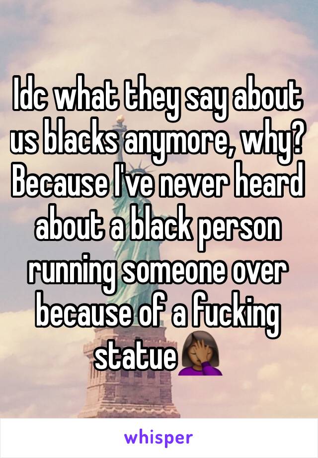 Idc what they say about us blacks anymore, why? Because I've never heard about a black person running someone over because of a fucking statue🤦🏾‍♀️  