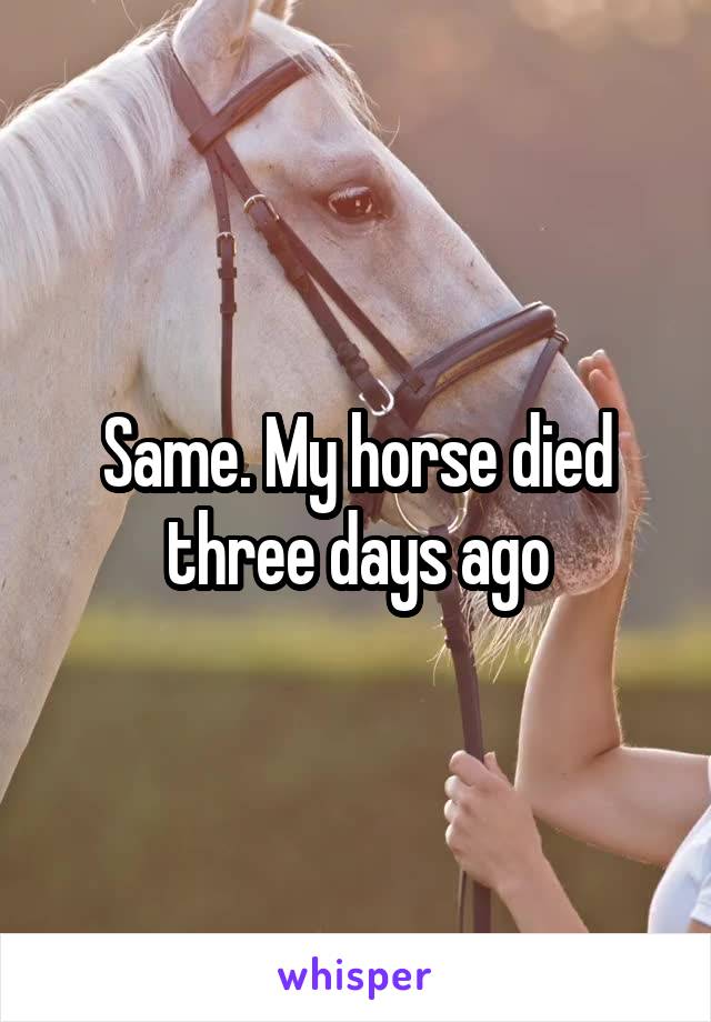 Same. My horse died three days ago