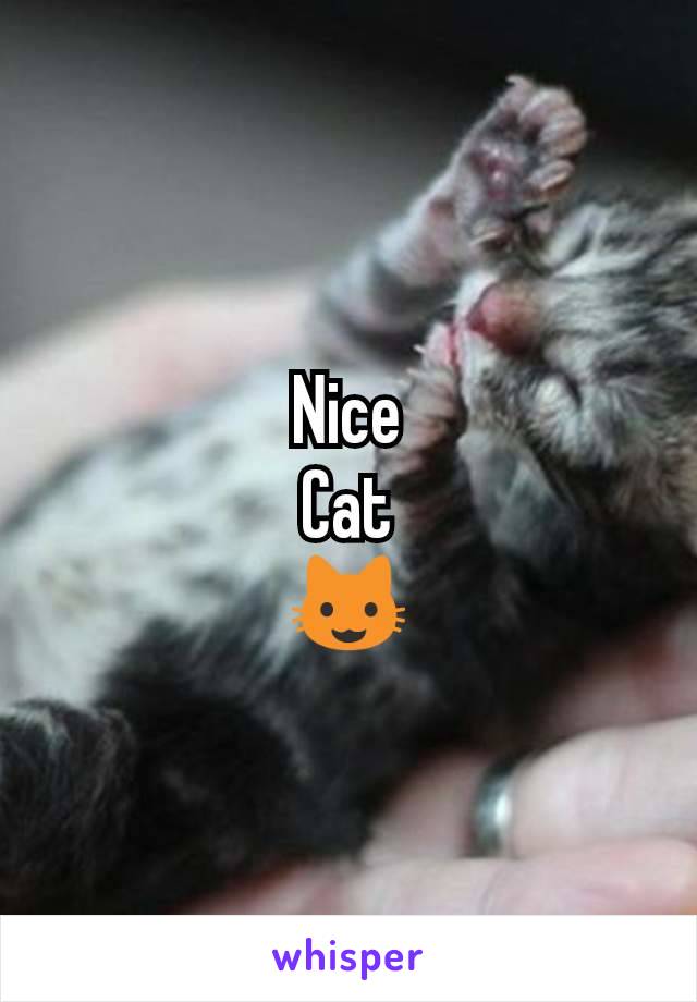 Nice
Cat
😺