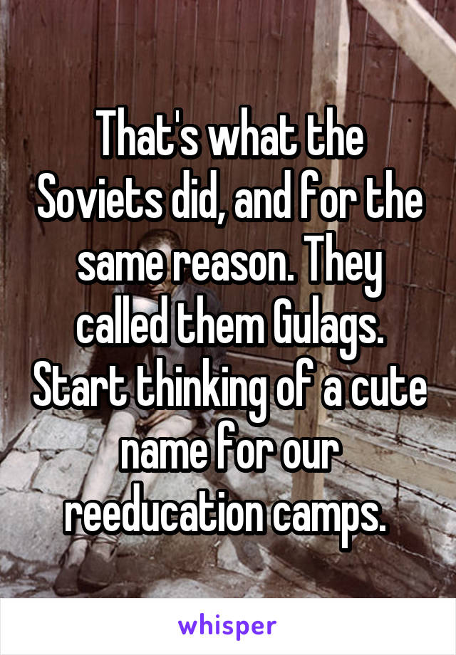 That's what the Soviets did, and for the same reason. They called them Gulags. Start thinking of a cute name for our reeducation camps. 