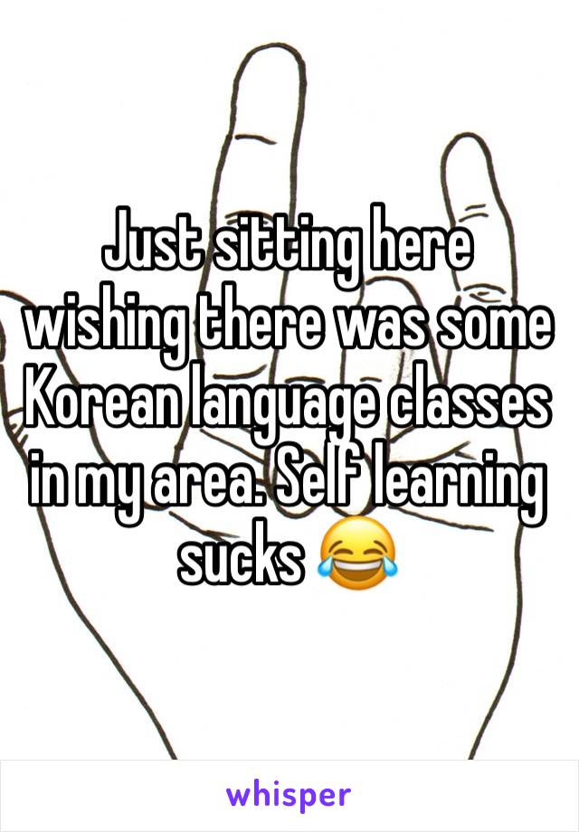 Just sitting here wishing there was some Korean language classes in my area. Self learning sucks 😂