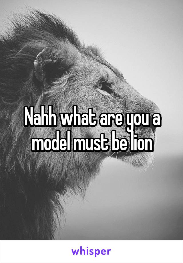 Nahh what are you a model must be lion