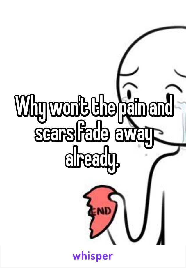Why won't the pain and scars fade  away already. 