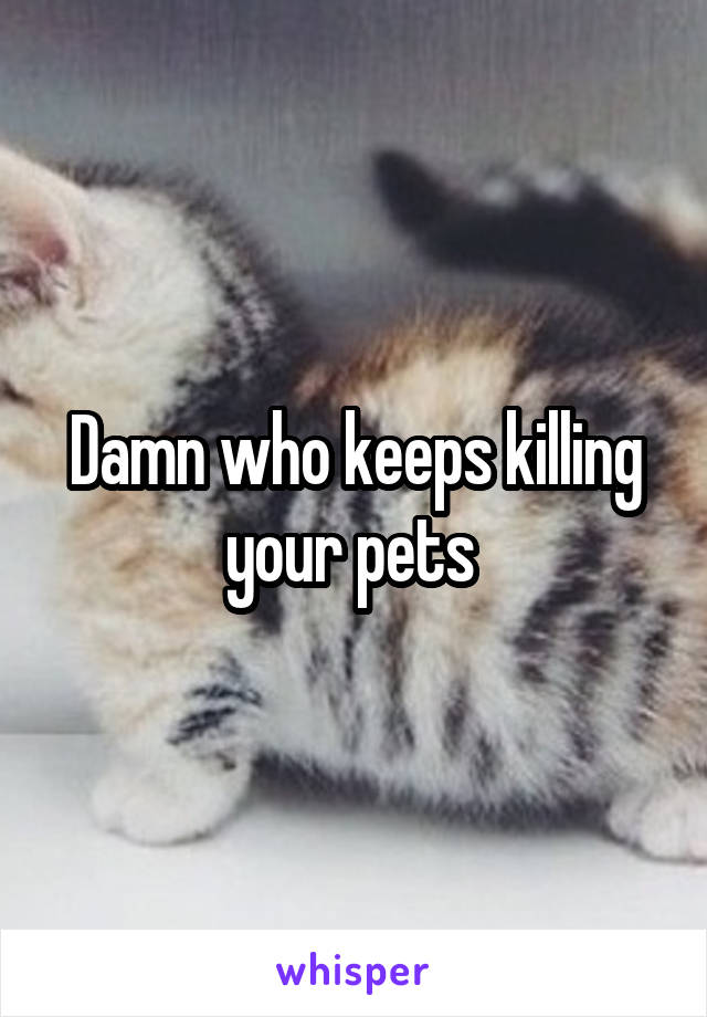 Damn who keeps killing your pets 