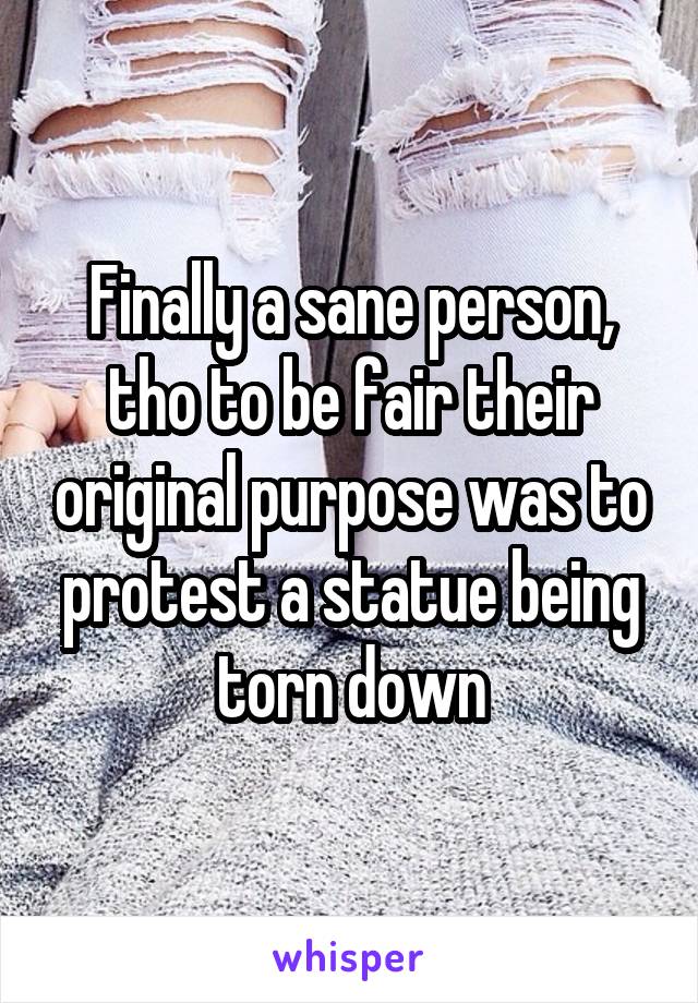 Finally a sane person, tho to be fair their original purpose was to protest a statue being torn down