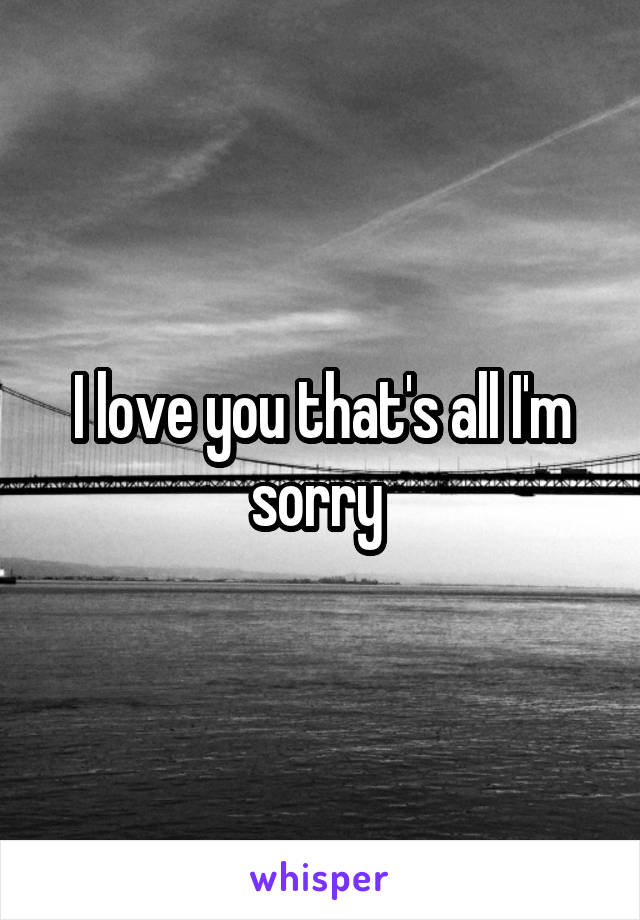 I love you that's all I'm sorry 