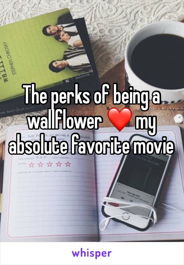 The perks of being a wallflower ❤️ my absolute favorite movie 