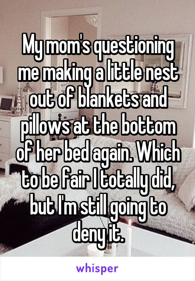 My mom's questioning me making a little nest out of blankets and pillows at the bottom of her bed again. Which to be fair I totally did, but I'm still going to deny it.