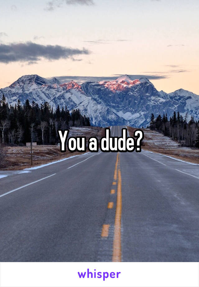 You a dude?