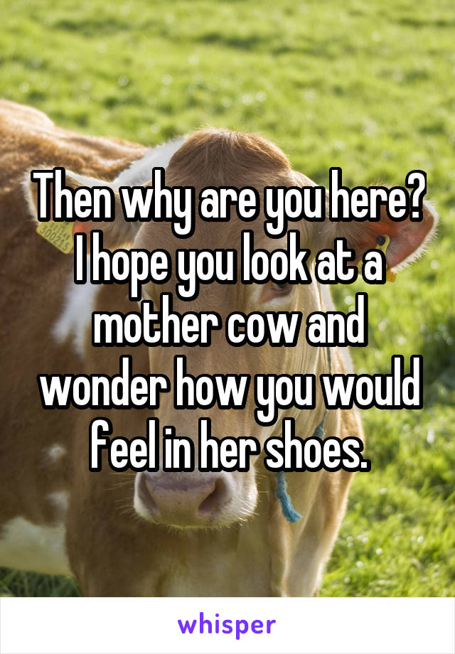 Then why are you here? I hope you look at a mother cow and wonder how you would feel in her shoes.