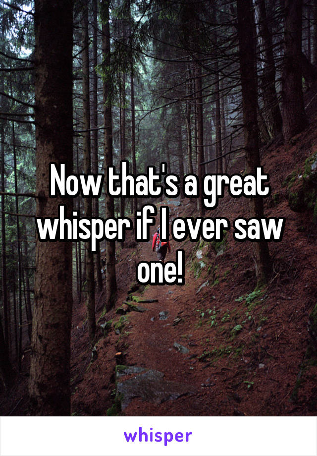 Now that's a great whisper if I ever saw one!