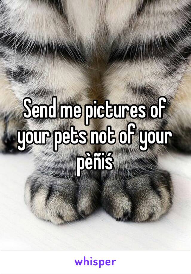 Send me pictures of your pets not of your pèñiś