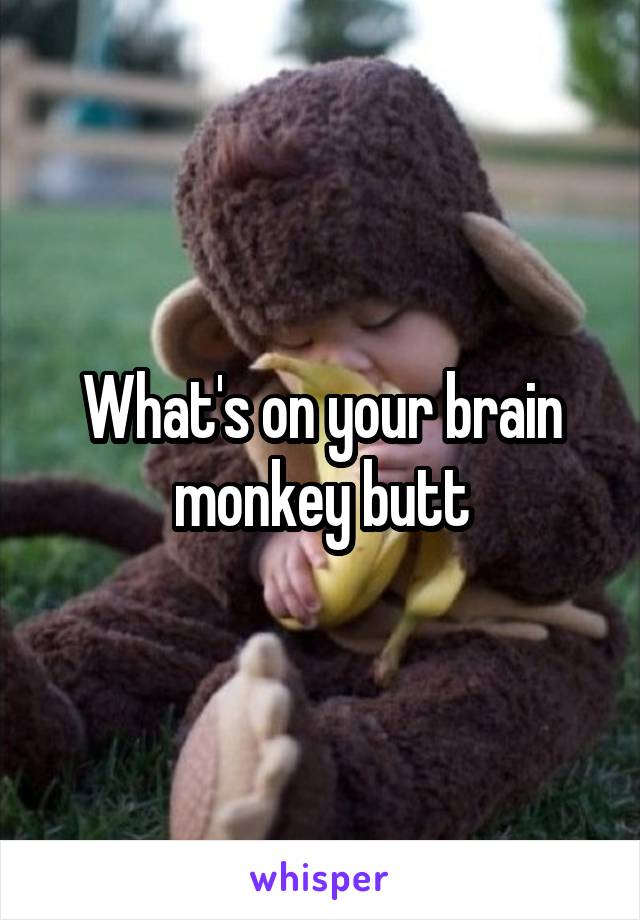 What's on your brain monkey butt