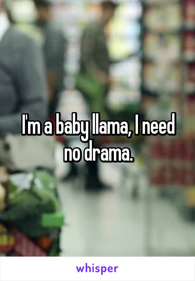 I'm a baby llama, I need no drama.