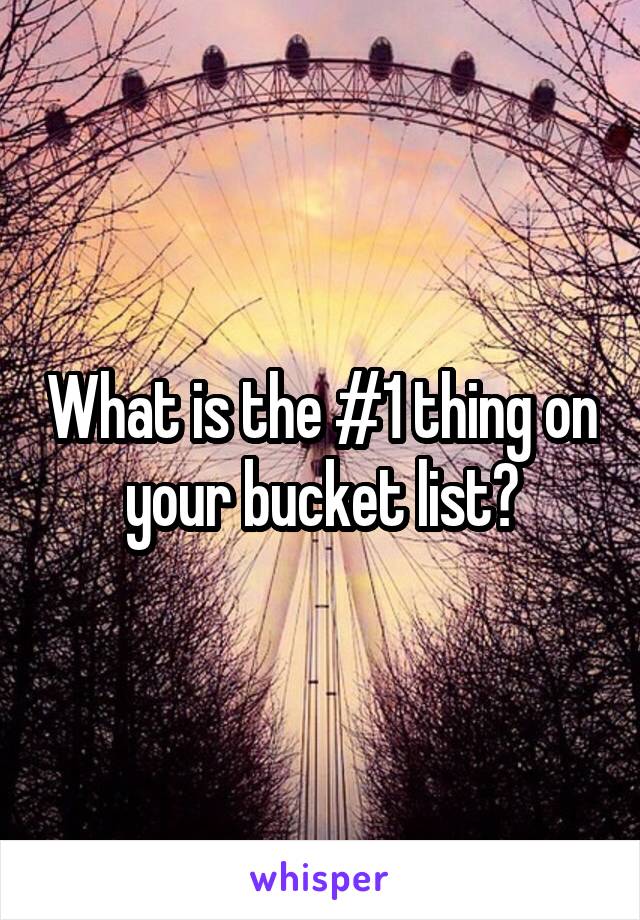 What is the #1 thing on your bucket list?