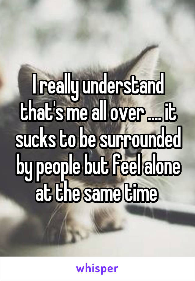 I really understand that's me all over .... it sucks to be surrounded by people but feel alone at the same time 