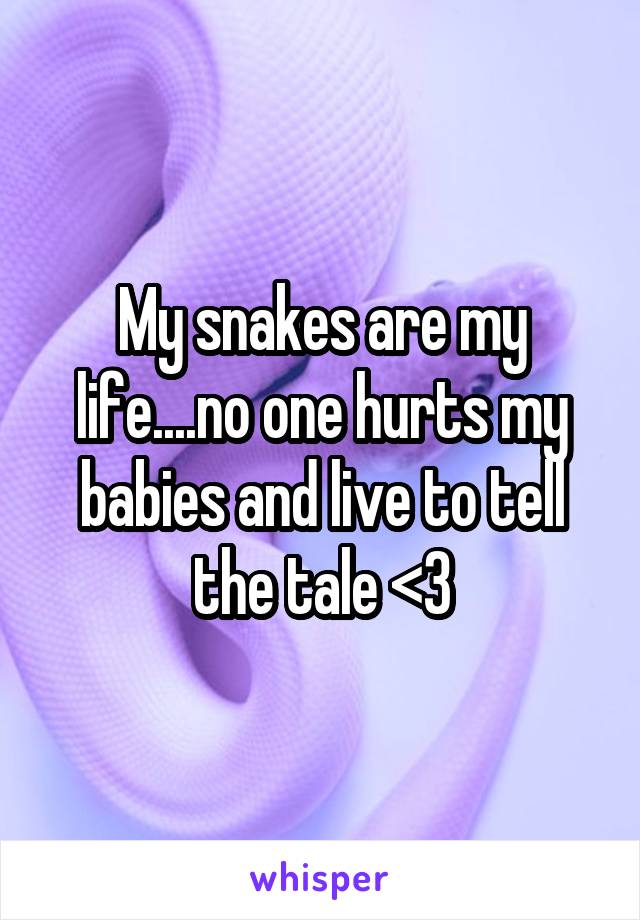 My snakes are my life....no one hurts my babies and live to tell the tale <3