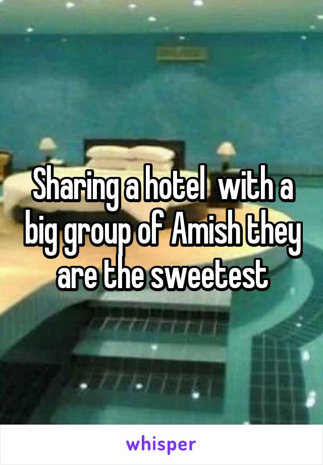 Sharing a hotel  with a big group of Amish they are the sweetest