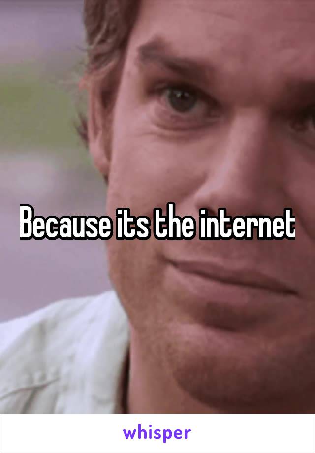 Because its the internet