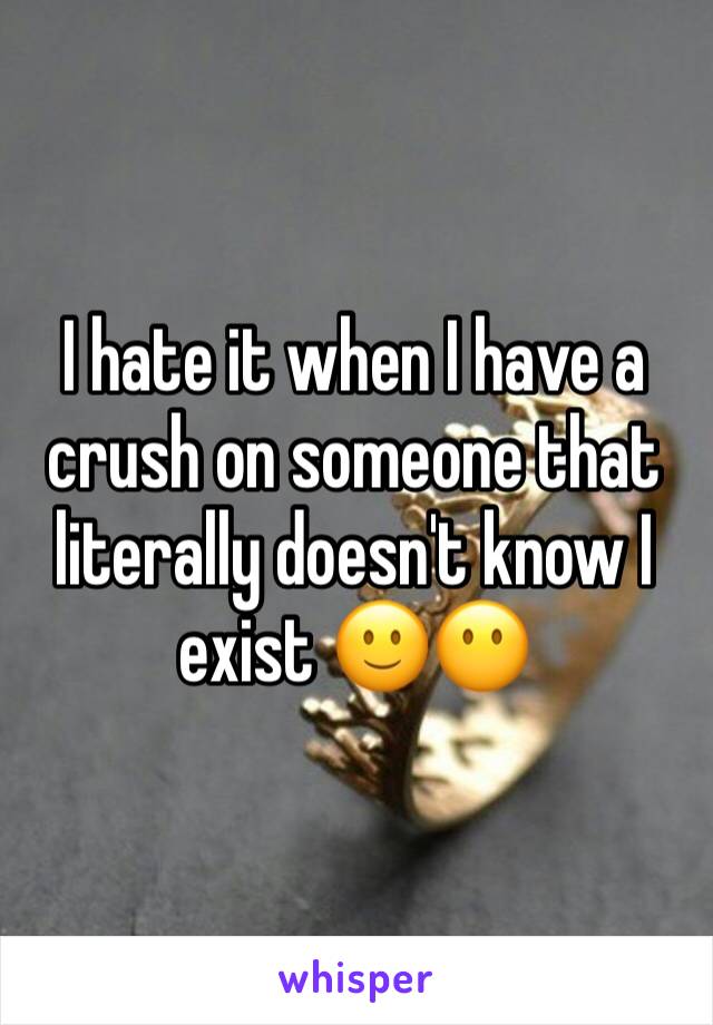 I hate it when I have a crush on someone that literally doesn't know I exist 🙂😶