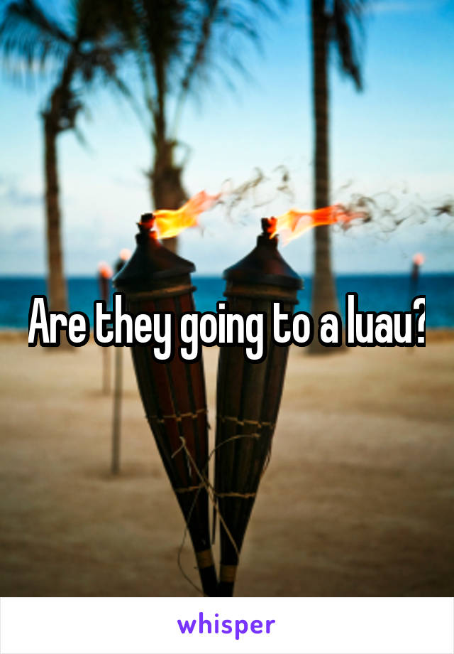 Are they going to a luau?