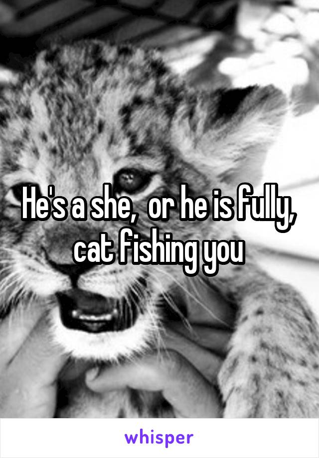 He's a she,  or he is fully,  cat fishing you 