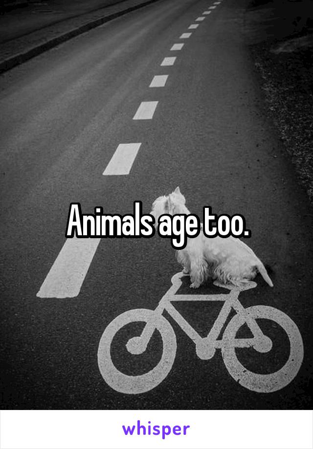 Animals age too.