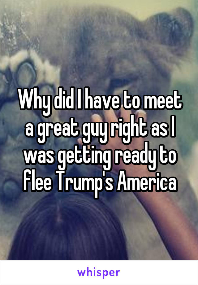Why did I have to meet a great guy right as I was getting ready to flee Trump's America
