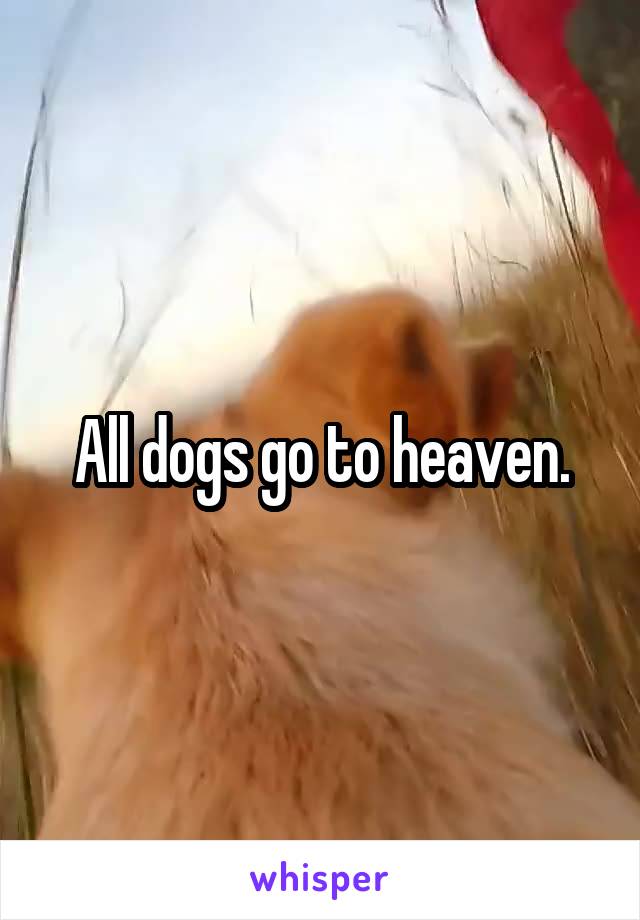 All dogs go to heaven.