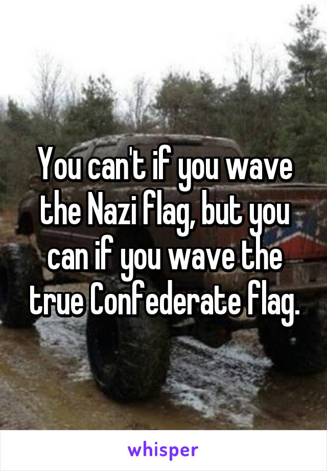 You can't if you wave the Nazi flag, but you can if you wave the true Confederate flag.