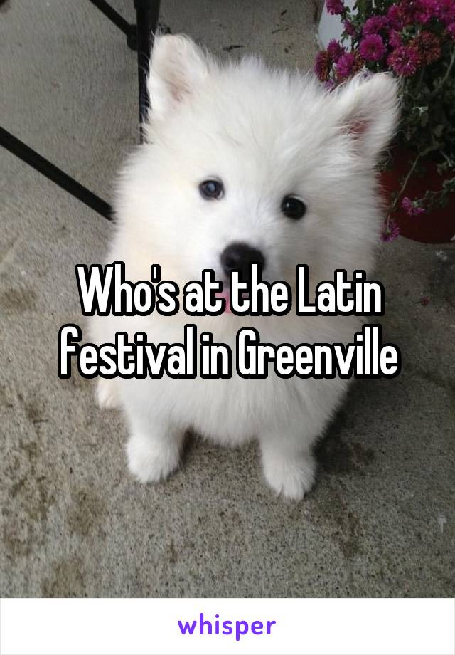 Who's at the Latin festival in Greenville