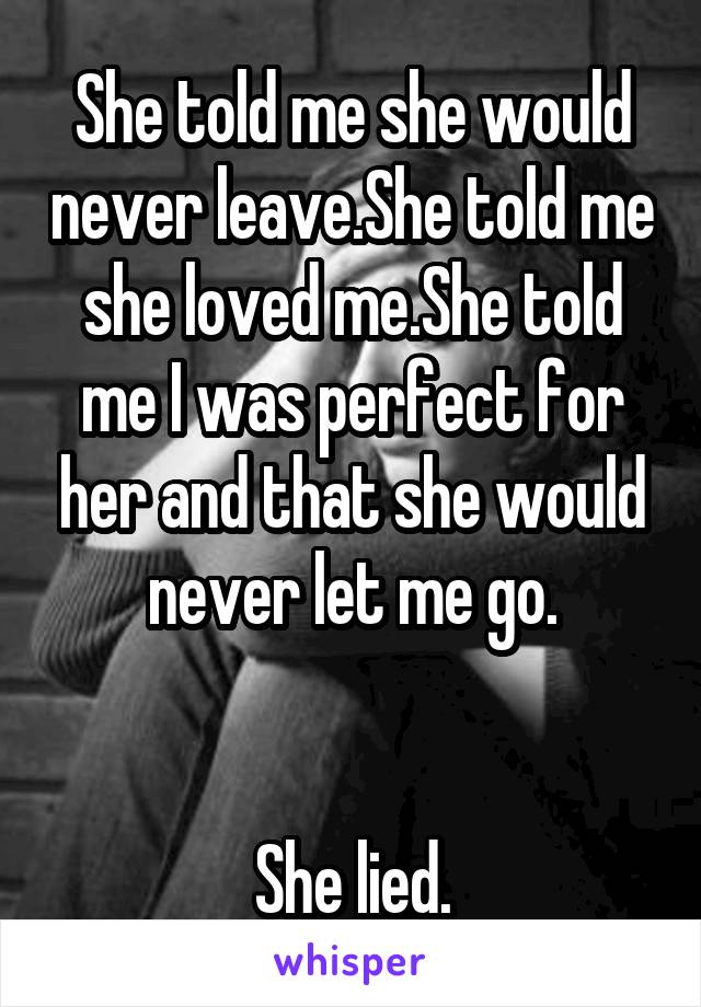She told me she would never leave.She told me she loved me.She told me I was perfect for her and that she would never let me go.


She lied.